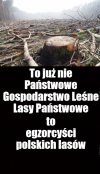 Kaprawym okiem ateisty patrząc ...