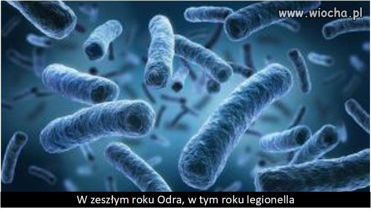 "Bezpieczna przyszłość Polaków"