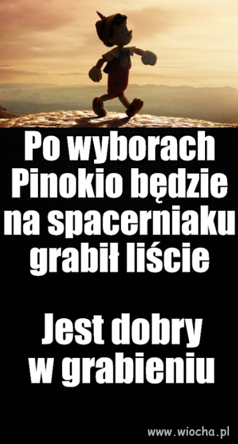 Chyba nie pozwolimy im uciec z kraju?