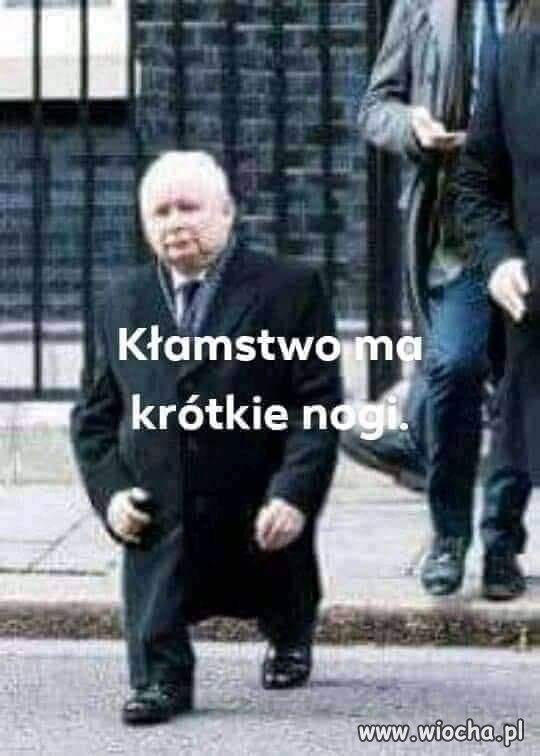 Niby tak. 