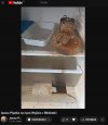 Pochwalił się lodówką na Transmisji