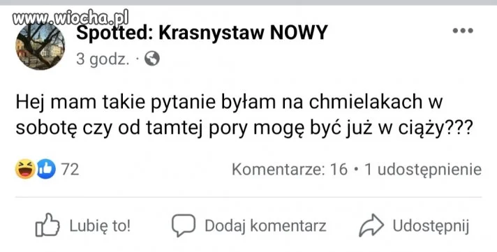 Jedyne z czego znane są Chmielaki ...