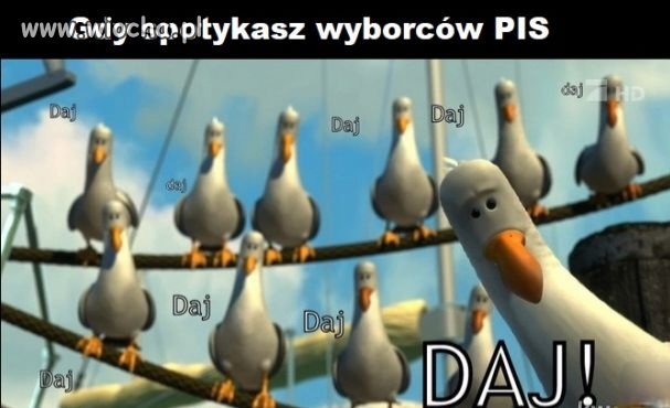 Wyborcy PiS 