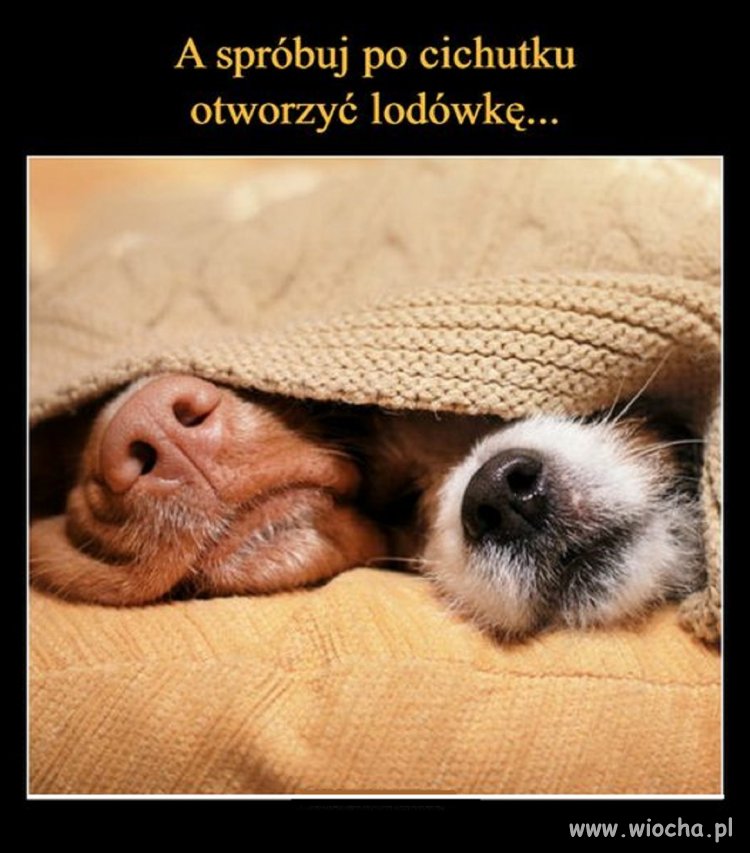 Nic nie słyszą