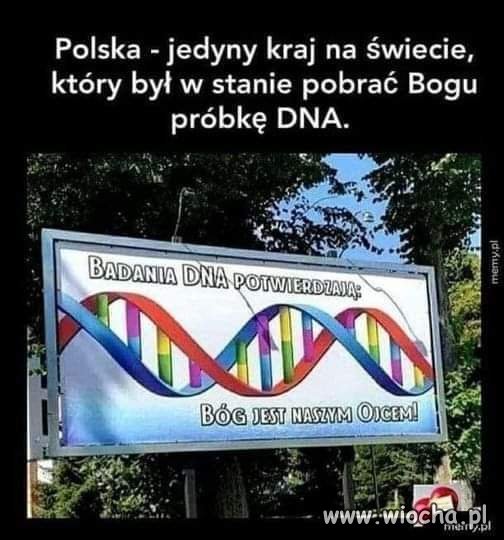 Nie wiem jak to skomentować 