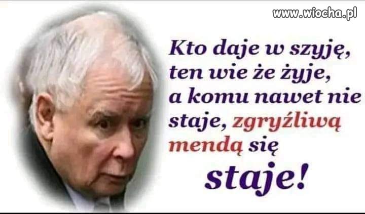 Z cyklu ''złote myśli''