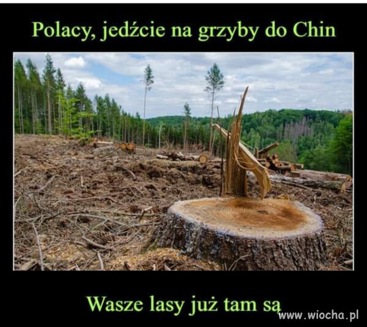 Dobrze,że mam własny 