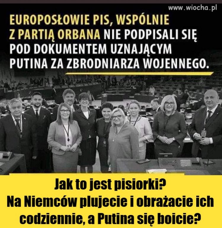 Pewnie, swojego mocodawcy i sojusznika nie chcą wkurzać
