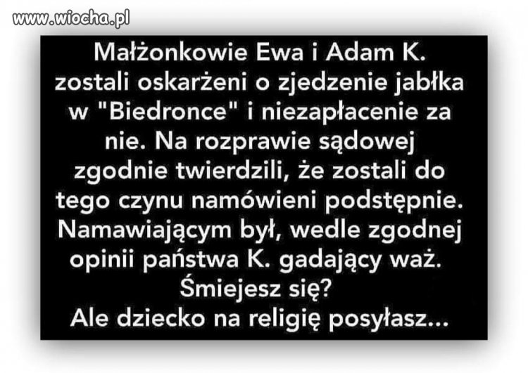 Bez polityki 