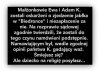 Bez polityki 