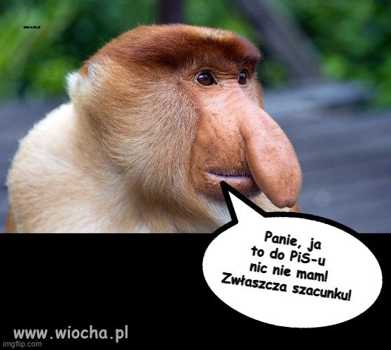 Po niedzielnej wycieczce