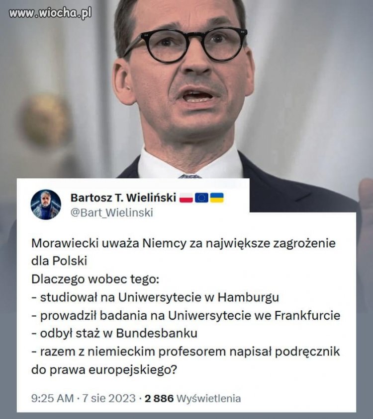 Bo największym zagrożeniem jest ryży szwab?