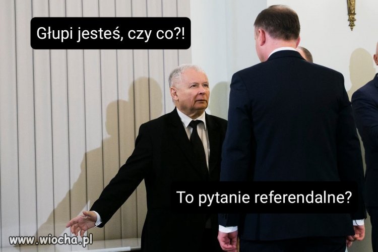 Pytanie referendalne: 