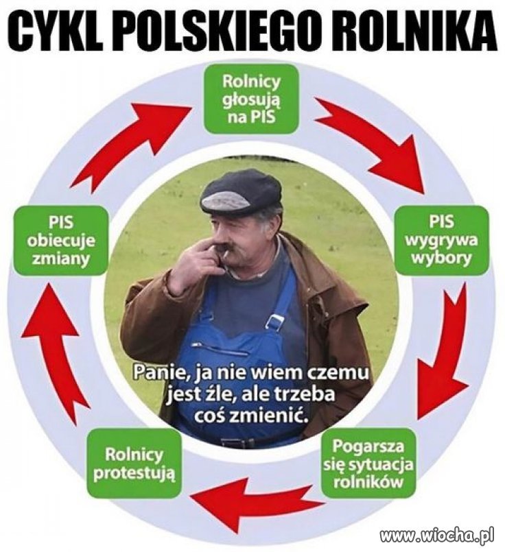 100%