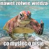 Daleko na Pacyfiku