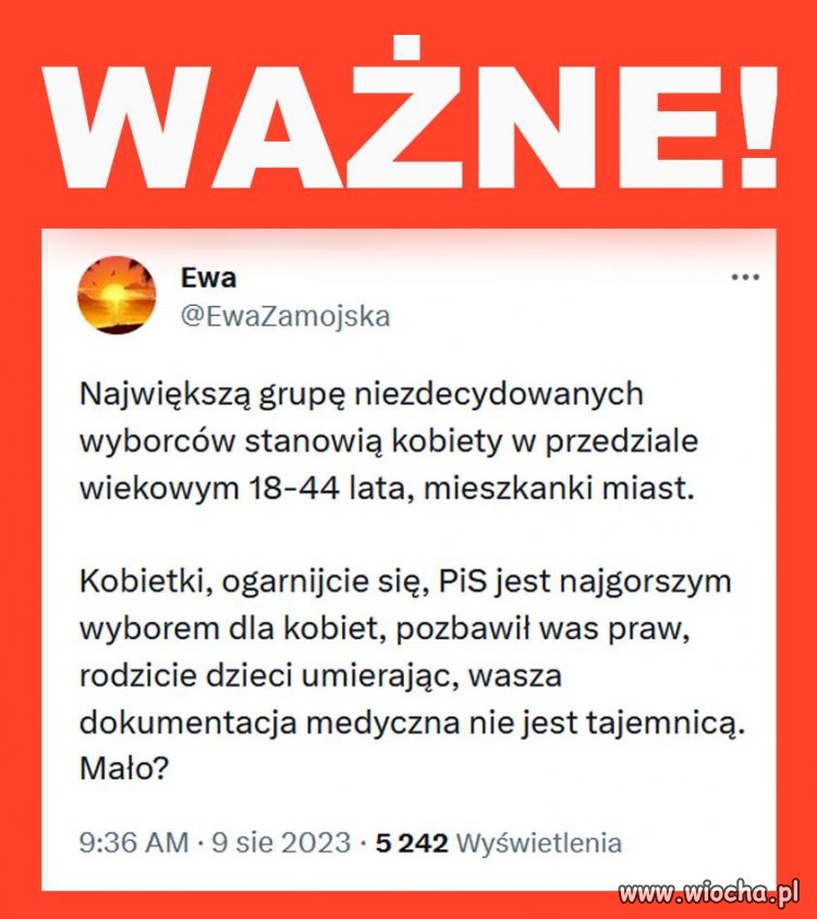 Nie tylko PiS. Konfederacja też miała  w tym udział!