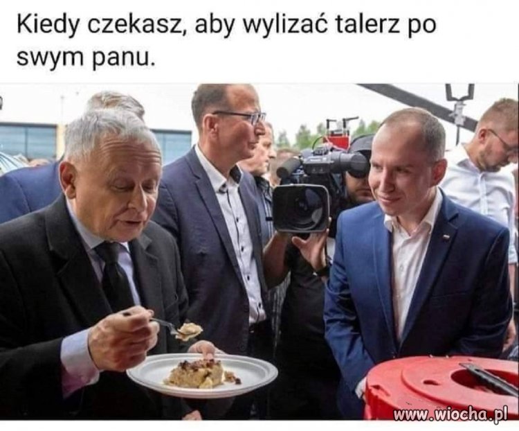 Widać służalczość