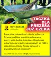 Podoba mi się ten pomysł