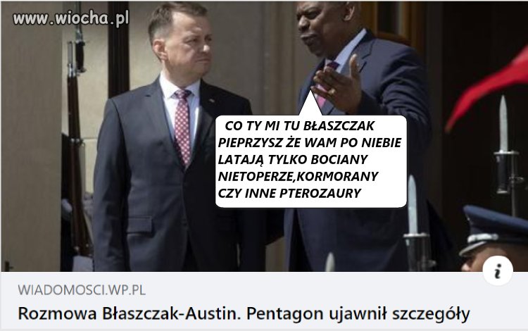 Płaszczak w Hameryce
