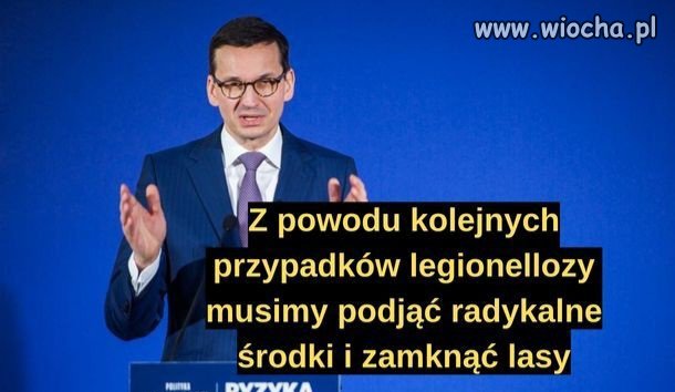 A grzyby obiecane przez kaczora???