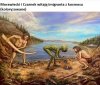 PISpolska gościnność