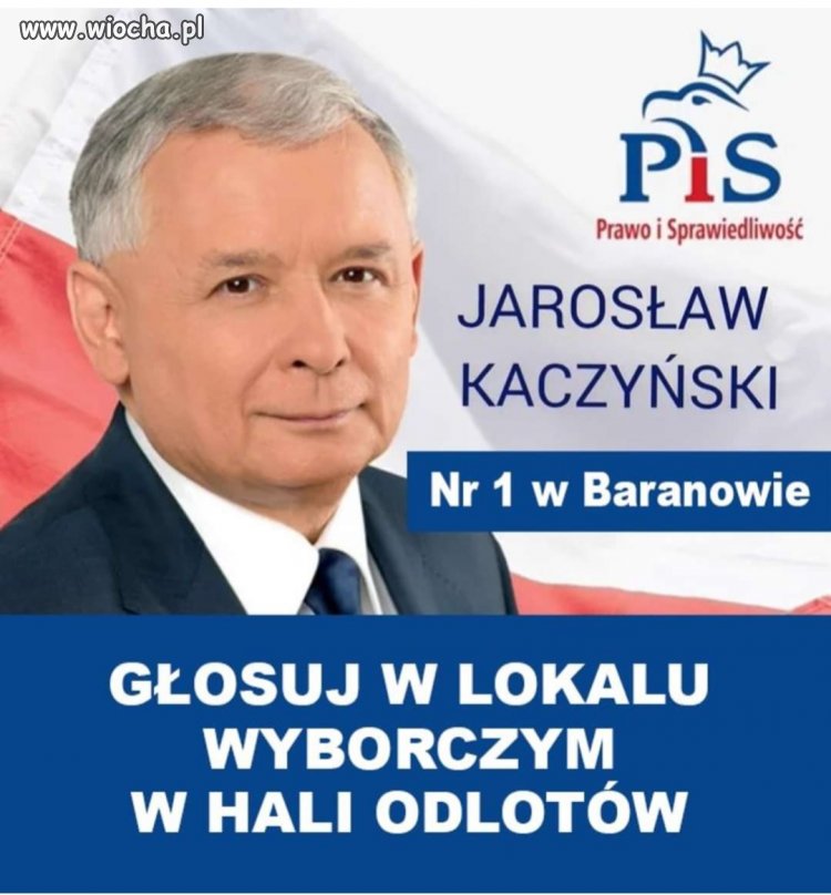 Kandydat baranów 