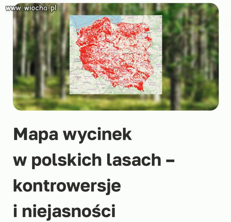 Dużo tego