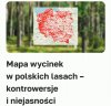 Dużo tego