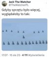Bardzo możliwe