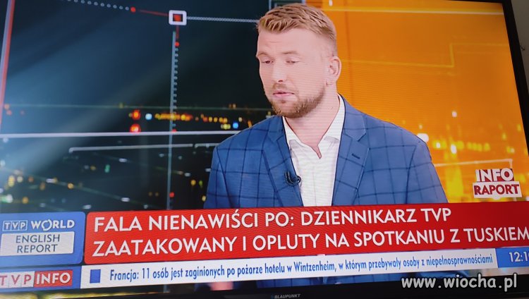 Okularnik opluty 