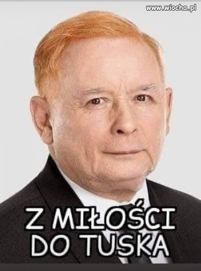 Z miłości do Tuska