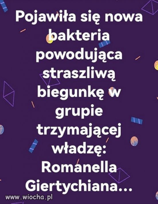 Jarek już ma sraczkę na samą myśl o Romanie...