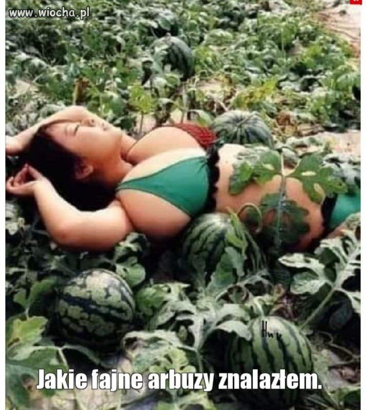 Będę zbierał 