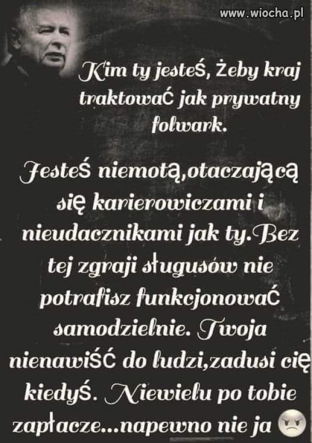 Żywiołowe wyznanie internauty.
