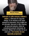 Pokazują swoje ja i co będziemy mieli po wyborach jeśli dorwą się do władzy.