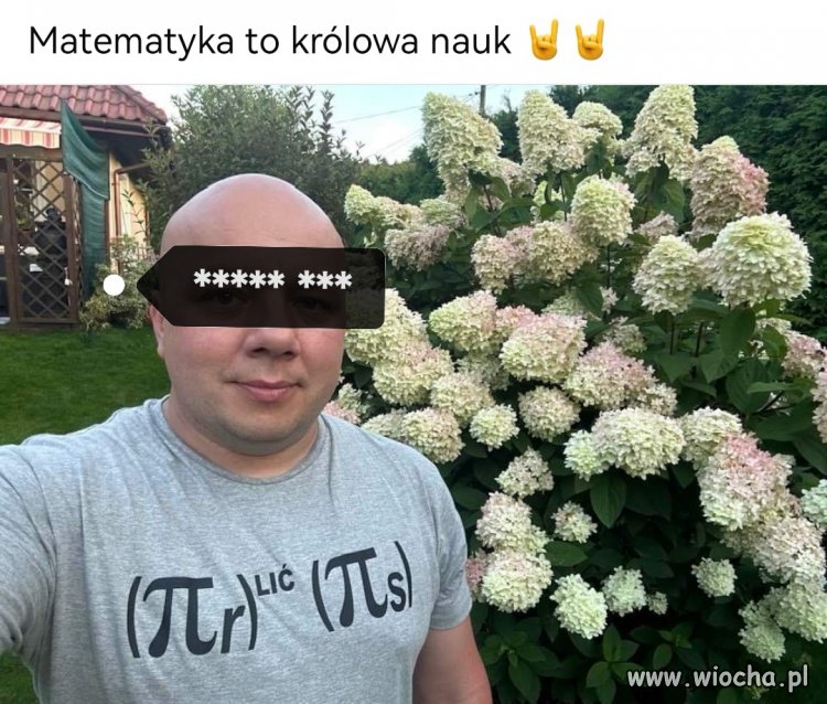 Matematyka to królowa nauk