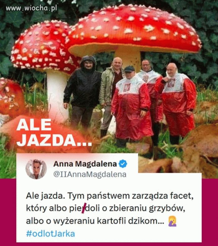 Odlot Jarosława