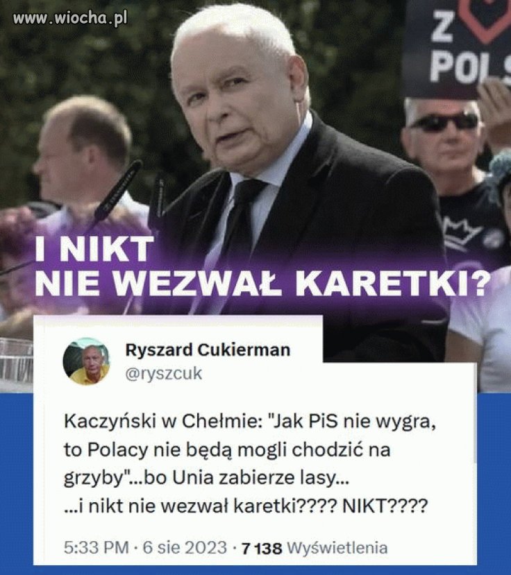 Sezon grzybowy