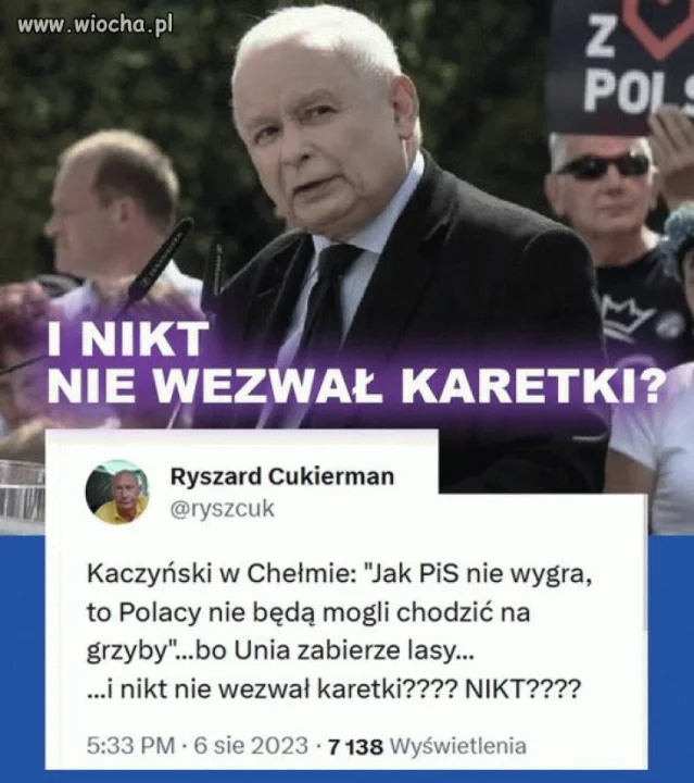 Sezon grzybowy