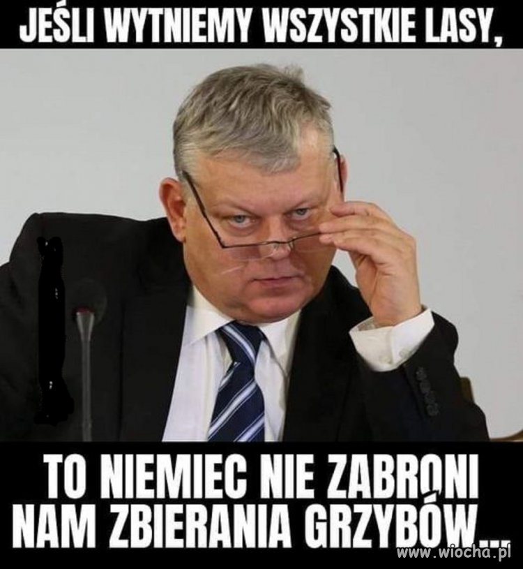 Tego właśnie chcą