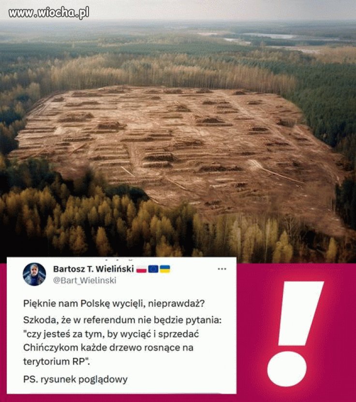 W punkt