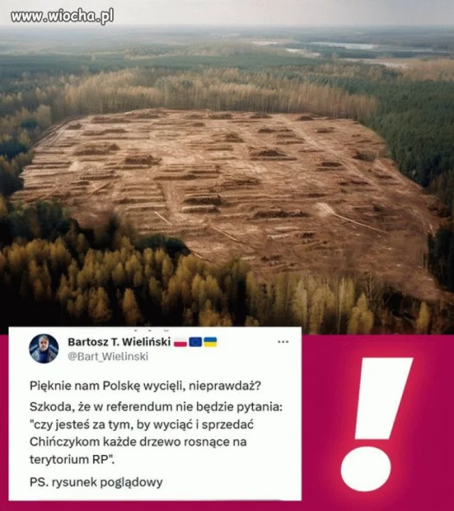 W punkt