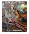 Bo go szukam...