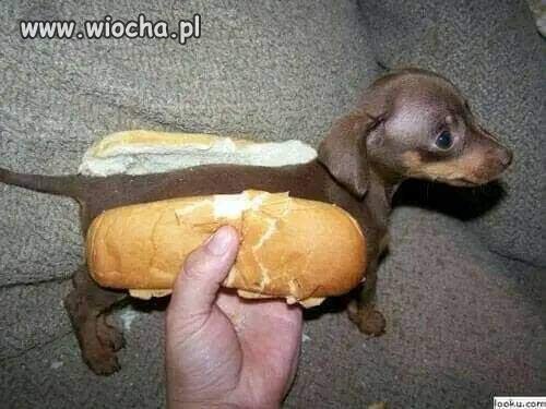 Hot dog konfy