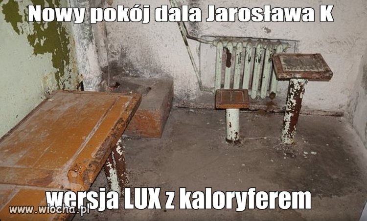 Cela Jaro m1