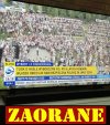 Donald celnie o haśle pisonów
