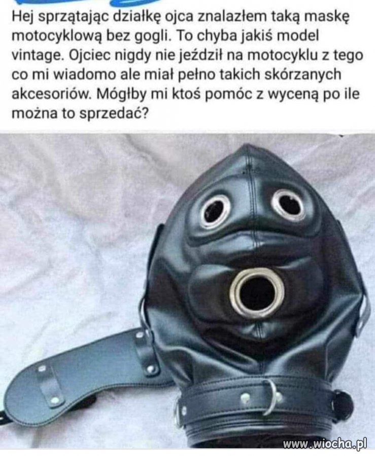 Znalezione 