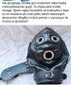 Znalezione 
