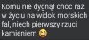 Potwierdzam