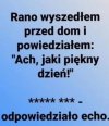 Samo życie